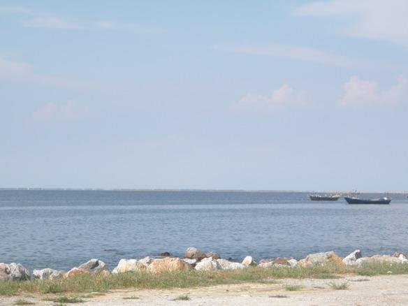 PA230284.jpg